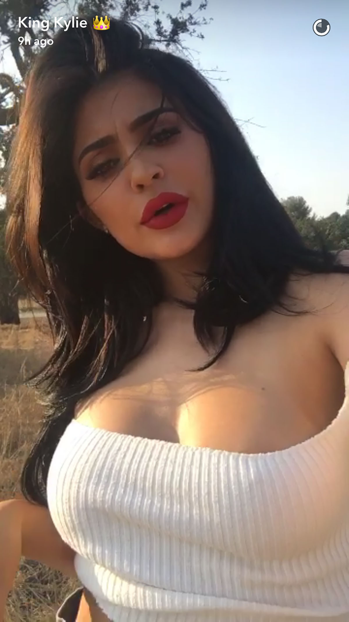 Kylies Tits